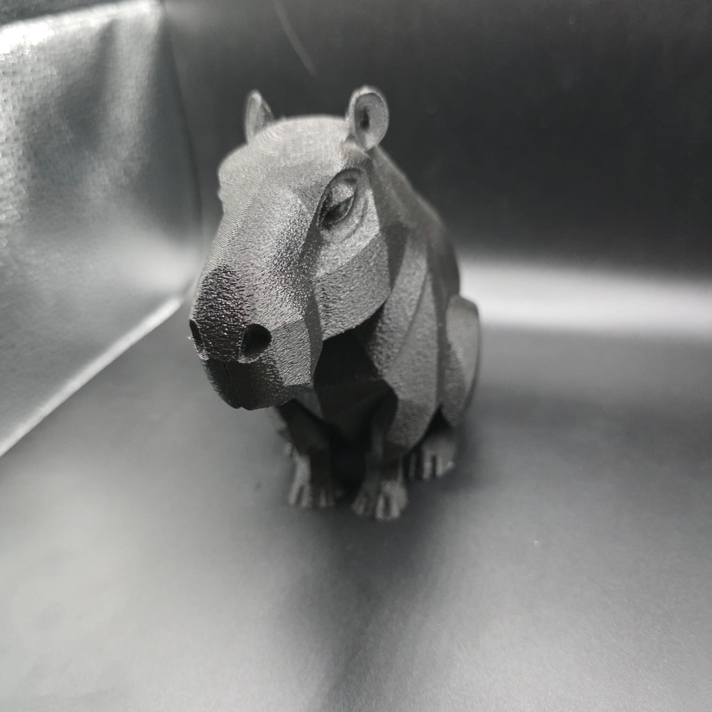 Capivara