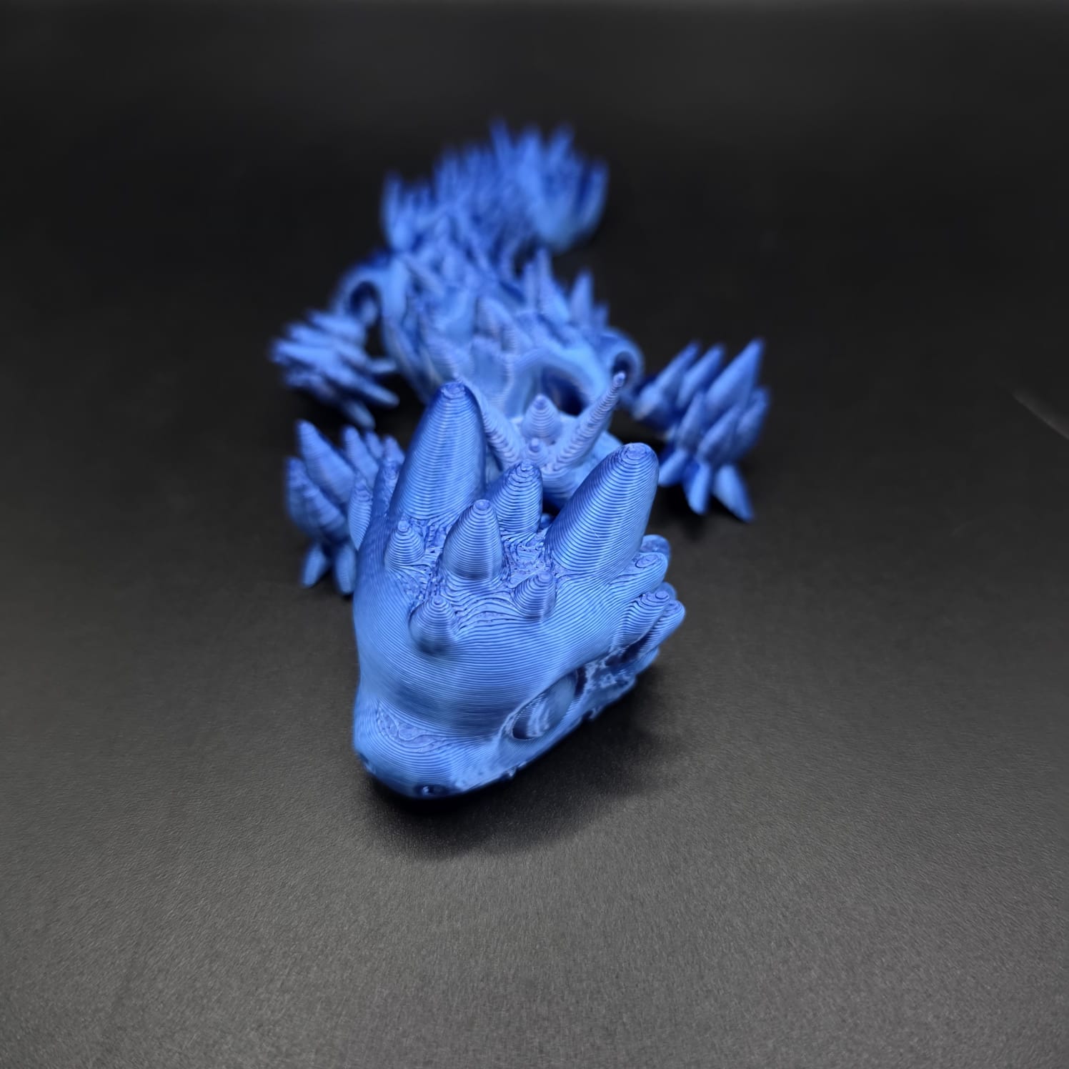 Salamandra 3D