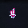 Dragón Rosa