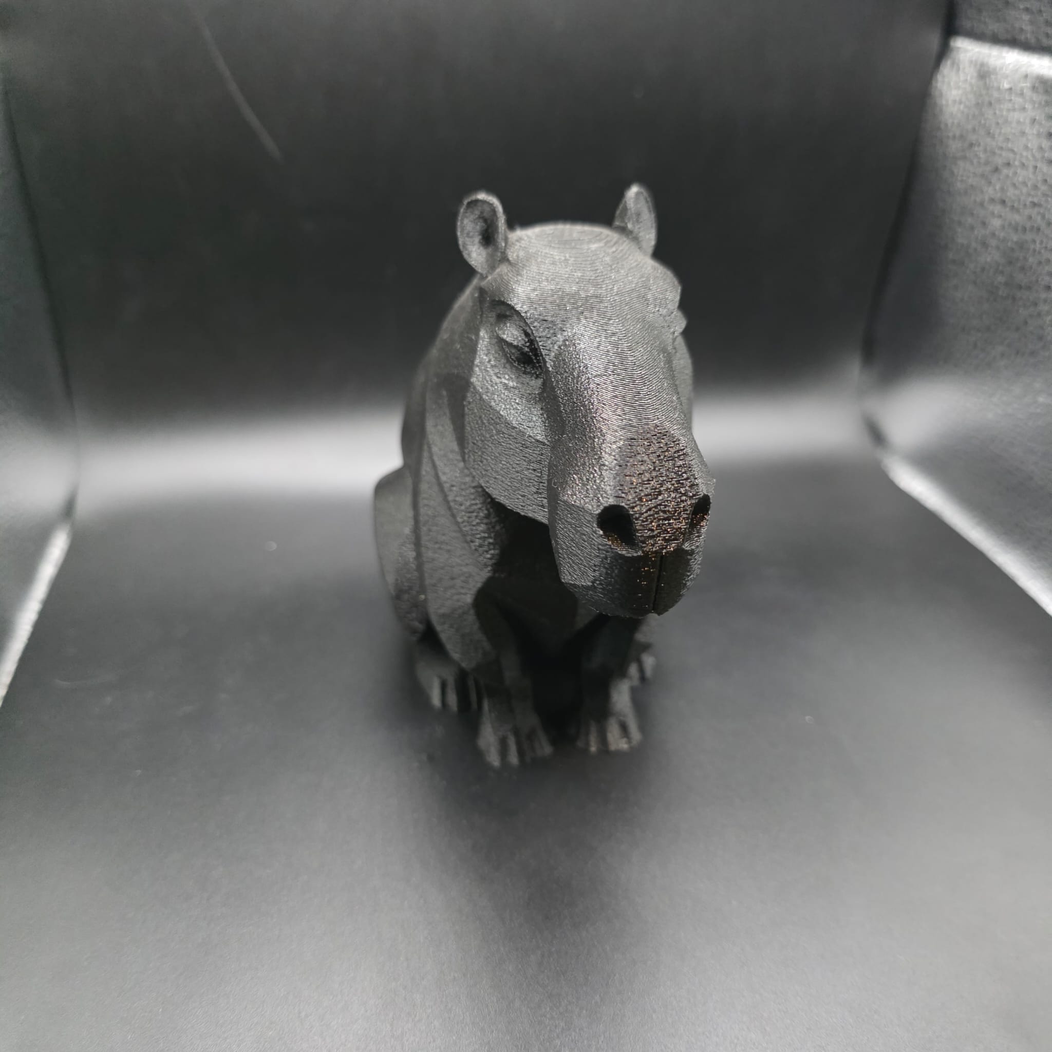 Capivara