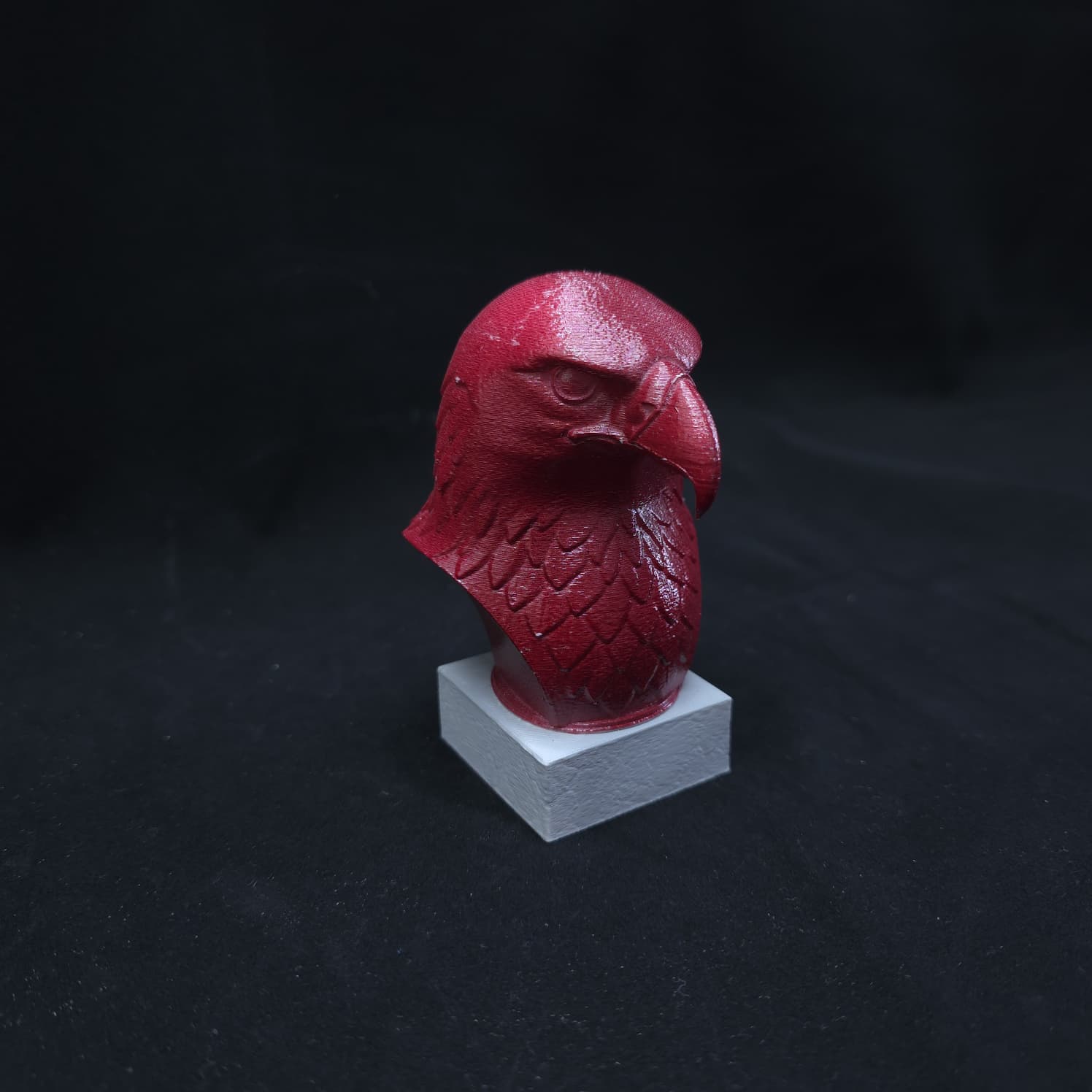 Busto Águia
