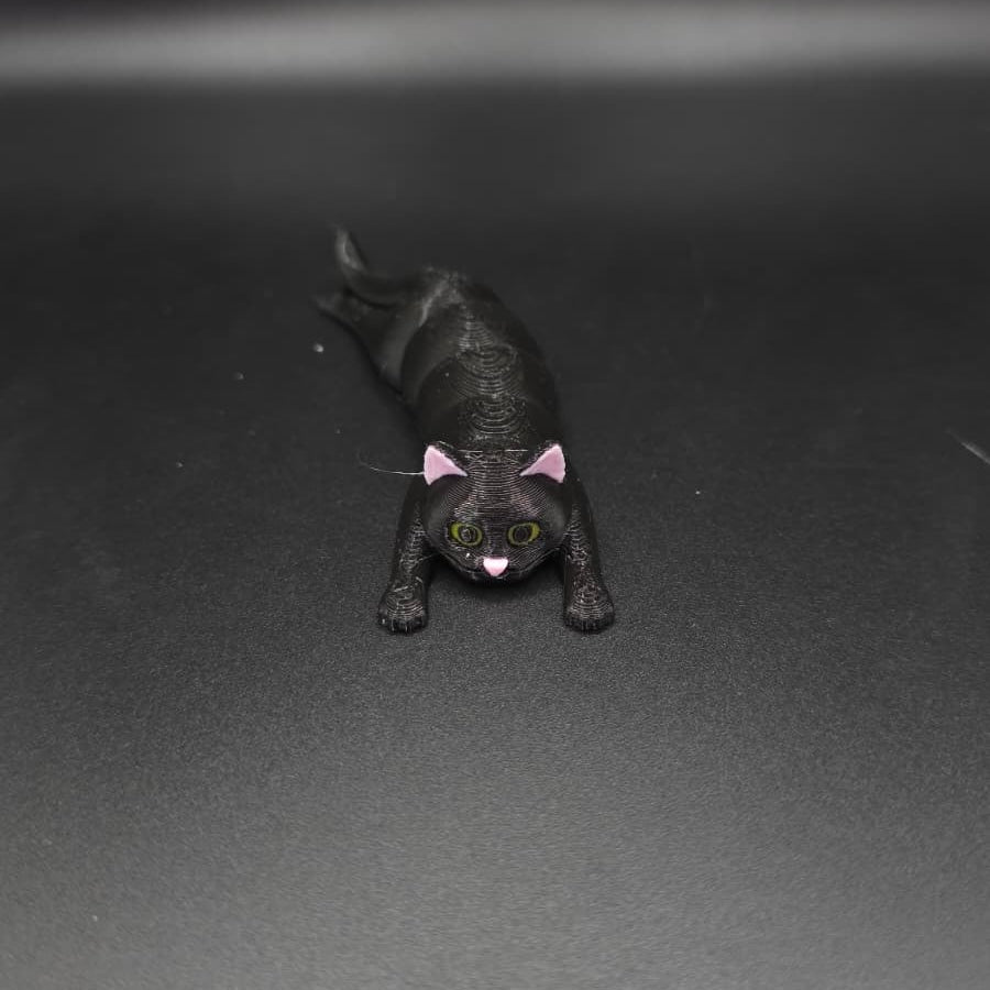 Gato Articulado