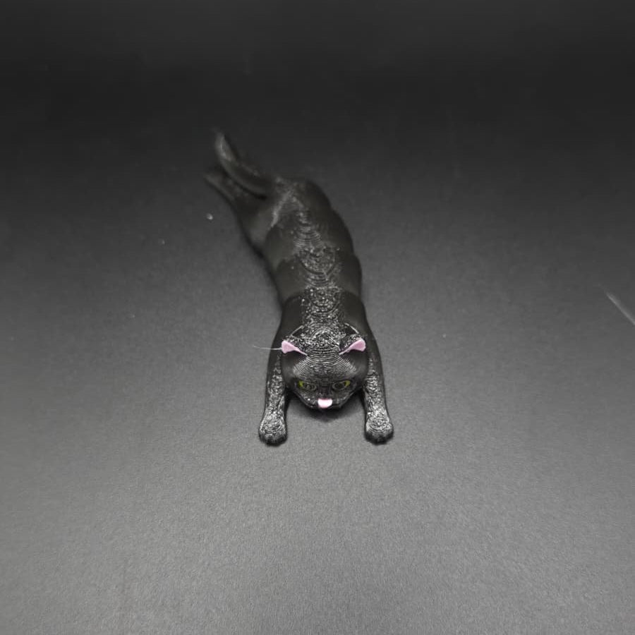 Gato Articulado