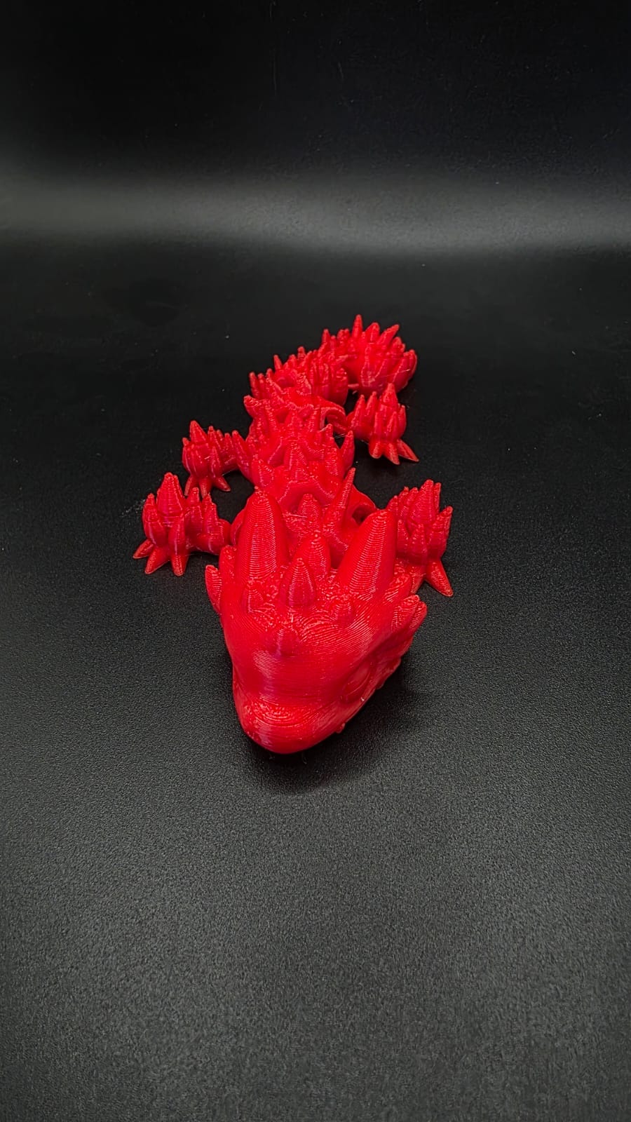 Salamandra 3D