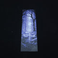 Marca-Páginas Moonlight River